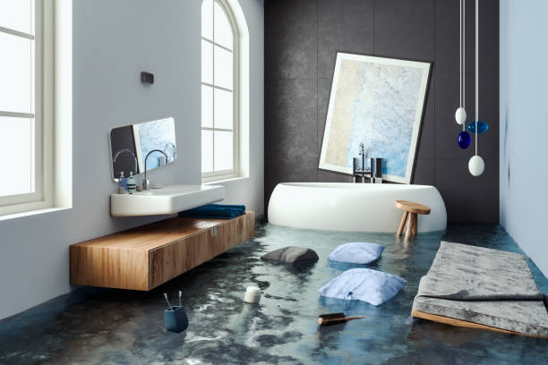 Best Local water damage restoration  in Gainesville, VA