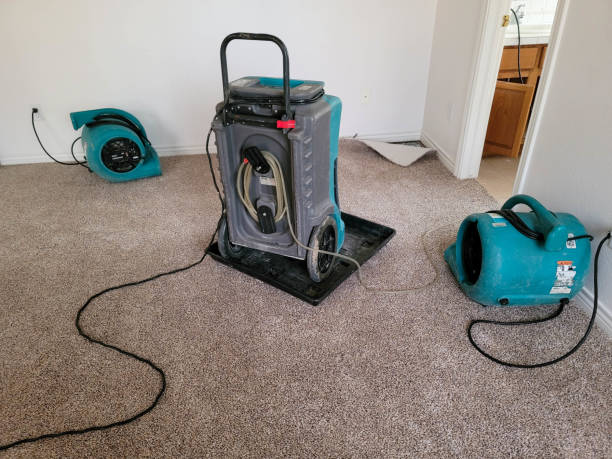 Best Ceiling water damage repair  in Gainesville, VA