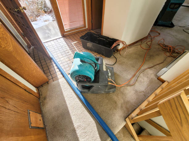 Best Flooded house restoration  in Gainesville, VA