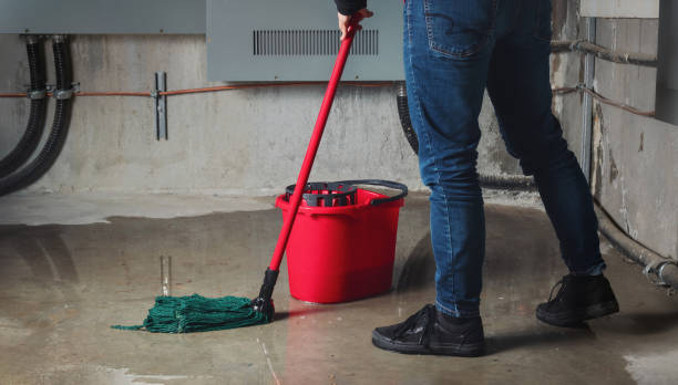 Trusted Gainesville, VA Water damage restoration Experts