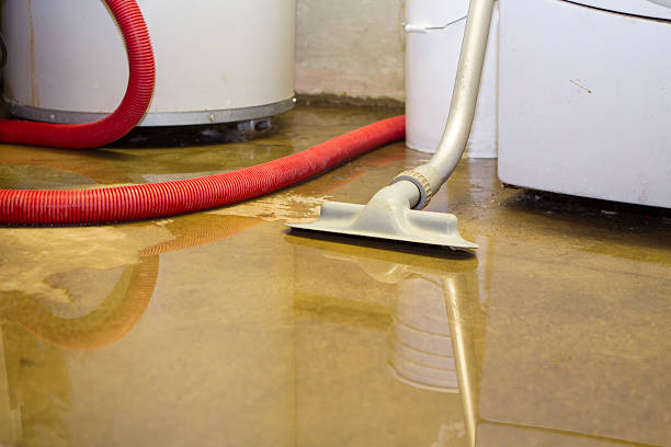 Best Residential water damage restoration  in Gainesville, VA
