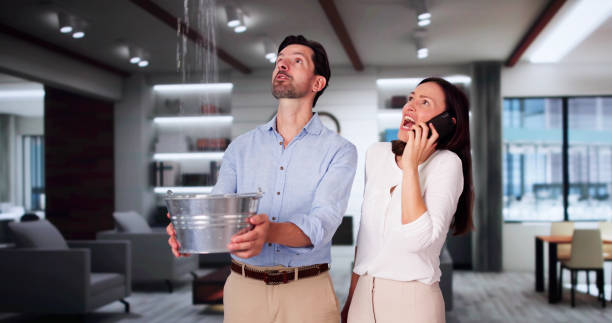 Water damage restoration mold remediation in Gainesville, VA